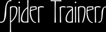 Spider Trainers, LLC — optimized professional visibility