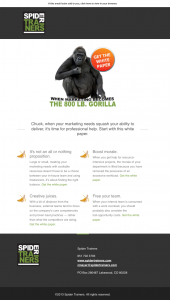 Spider Trainers' 800 lb. Gorilla eBook email image