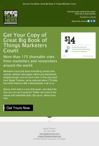 Spider Trainers' Great Big Book of Things Marketers Count eBook blast email image