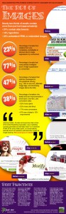 The ROI of images infographic image